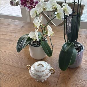 Haviland Porcelain Box with Gold and Pink Floral Design